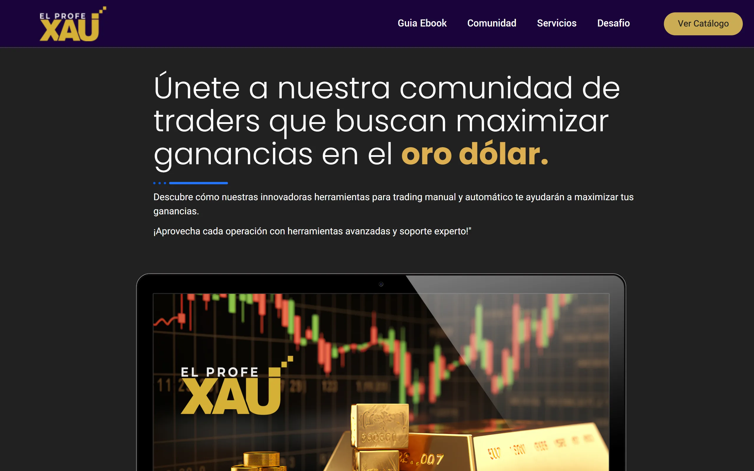 Página inicial do site El Profe XAU